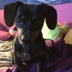 Meet your Posher, Tiffany